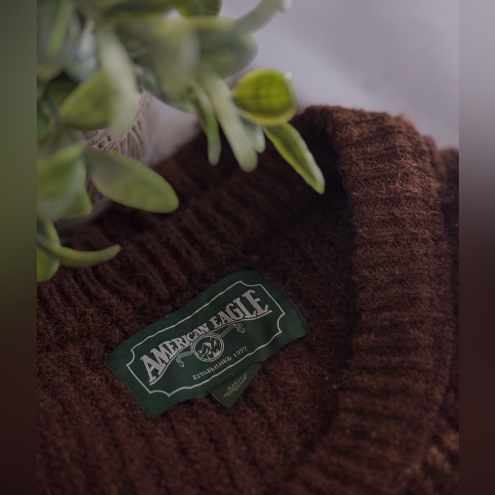 Brown American Eagle Sweater